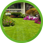 house with professional lawn care